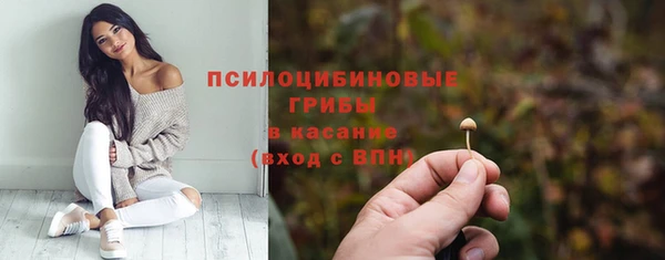 2c-b Алзамай