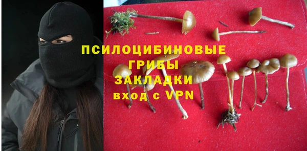 кокаин Алексеевка