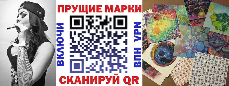 Купить закладки  Щучье  Наркотические марки 1,5мг 