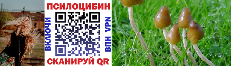 Купить закладки Щучье Галлюциногенные грибы Magic Shrooms